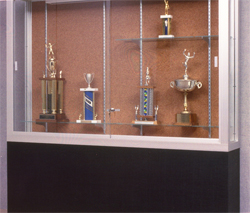 Large Locking Trophy Display Case With Lighting Subastral